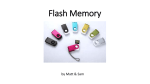 Flash Memory