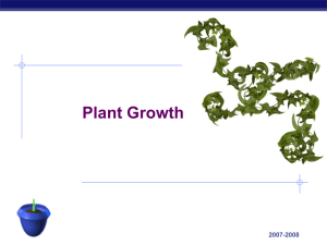 Plant Growth - Explore Biology