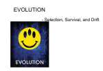 Evolution