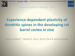 Neuroscience Journal Club