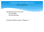7.3.3. Computer System Structures