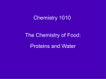 Chemistry 1010 The Chemistry of Food: Proteins and Water