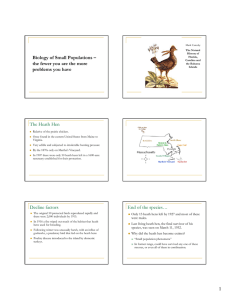 1 Biology of Small Populations – the fewer you are the more