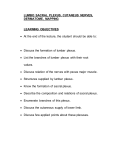 LUMBO SACRAL PLEXUS, CUTANEUS NERVES, DERMATOME