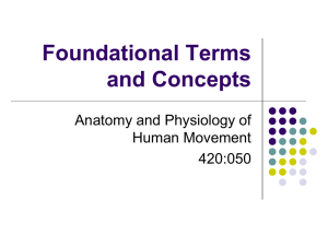 Foundations of Structural Kinesiology