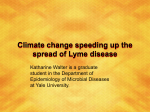 Climate change speeding up the spread of Lyme disease