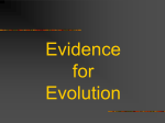 Evidence for Evolution PowerPoint