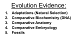 Evolution Evidence_ Summary Day_2013