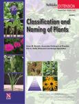 Classification and Naming of Plants - UNL ALEC