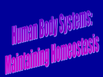 Human Body Systems - Anoka