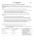 Option D Human Physiology D. 2 Digestion Essential idea