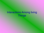 Interactions Among living Things
