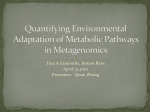 Quantifying Environmental Adaptation of Metabolic Pathways in