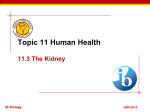 Topic 11 Human Health