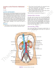 Common Iliac Arteries External Iliac Artery EMBRYOLOGIC NOTES