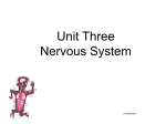 Unit Three Nervous System