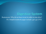 Digestive System