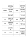 Space Dominoes - Literacy Online