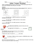 Cell Transport Worksheet