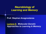 NeuroAnatomic and Genetic Approaches to Memory Formation