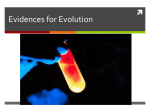 Chemical Reactions - Ms. Shunkwiler`s Wiki!