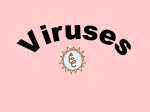 Viruses