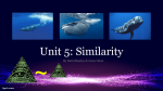 Unit 5: Similarity