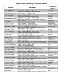 Insect Orders, Meanings, Common Names - Oregon 4-H