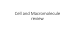 Cell and Macromolecule review questions