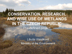 conservation, research, and wise use of wetlands in the czech republic
