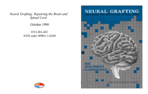 Neural Grafting: Repairing the Brain and Spinal Cord
