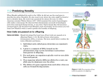 11.2 Predicting Heredity