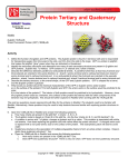 Protein Tertiary and Quaternary Structure