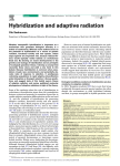 Hybridization and adaptive radiation