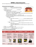 DEFENSE – Integumentary System