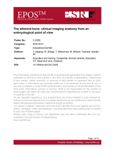 The ethmoid bone: clinical imaging anatomy from an embryological