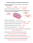 Cellular Respiration/Fermentation Review Sheet