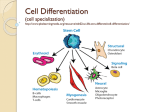 specialized cells