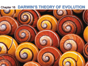 darwin`s voyage of discovery