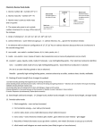 Chemistry Review Study Guide 1. Atomic number (Z) = number of P