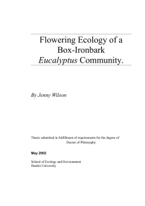Flowering Ecology of a Box-Ironbark Eucalyptus Community.