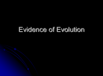 evidence for evolution