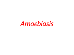 Amebiasis Amebiasis is an infection of the intestinal