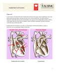 Double Inlet Left Ventricle