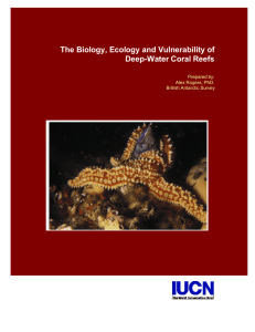 The Biology, Ecology and Vulnerability of Deep