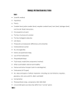 FInal Exam Master Concept and Vocab sheet