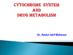 Cytochrome system and drug metabolism