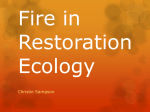 Fire in Restoration Ecology