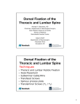 Dorsal Fixation of the Thoracic and Lumbar Spine Dorsal Fixation of
