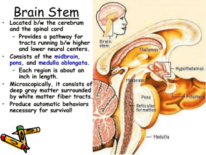 Bio_257_Unit_3_17